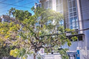 Salas/Conjuntos à venda com 49m² no bairro Rio Branco em Porto Alegre - Foto 9